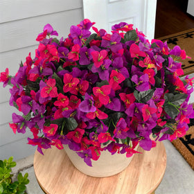 INXUGAO vivid bougainvillea colors for window boxes