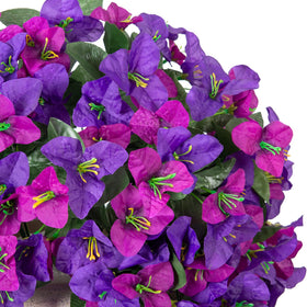 INXUGAO window box bougainvillea vines brighten indoor-outdoor spaces.