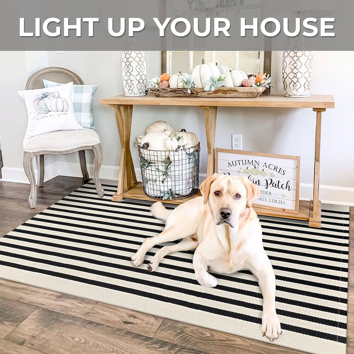 IOHOUZE cotton-blend rug offers soft texture and high absorbency at doorways.