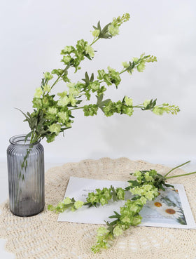IPOPU long-stem delphinium for tall vase centerpieces and dramatic displays.