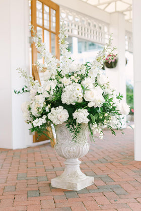 IPOPU long-stem delphiniums ideal for tall vases and dramatic floral displays.