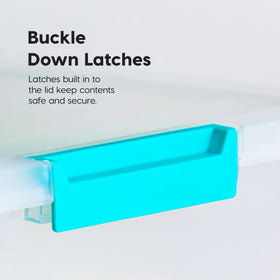 Stackable storage bin with secure buckles saves shelf space.