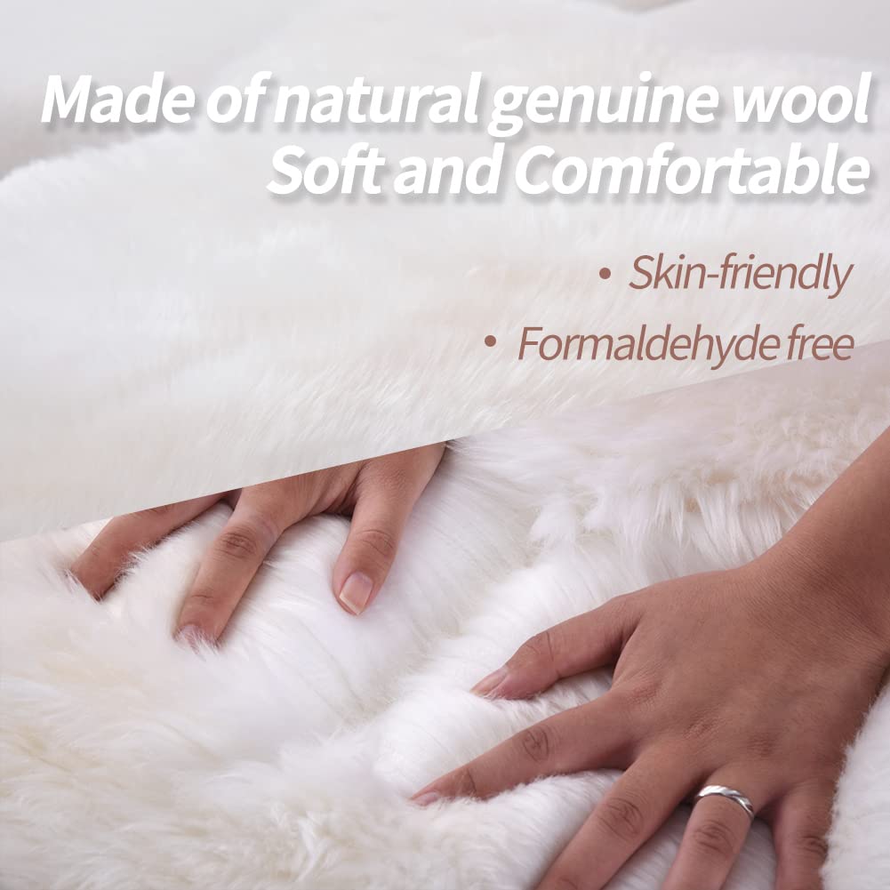 IRIWOOL 2x3ft rug, versatile home decor for living rooms and bedrooms.
