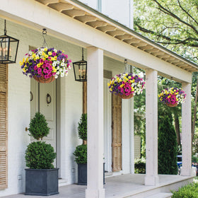 Ivydale 24-bundles faux petunias closeup highlights realistic petals and greenery.