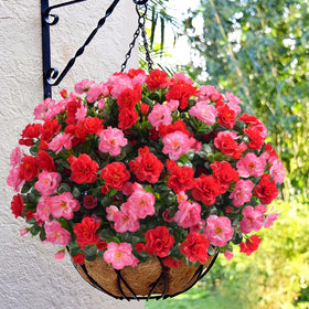 Ivydale camellia bundle melon red close-up reveals silk texture and natural detail.