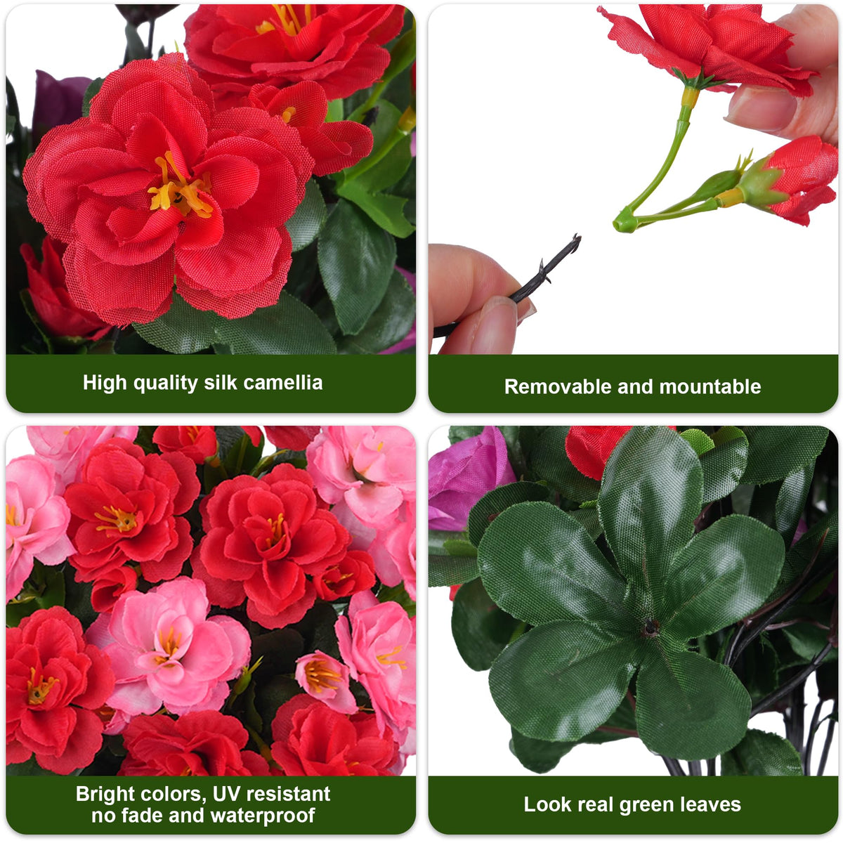 Ivydale camellia bundle melon red garden setup for porch and balcony scenes.