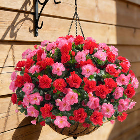 Ivydale camellia bundle melon red maintenance-free accent in outdoor spaces.