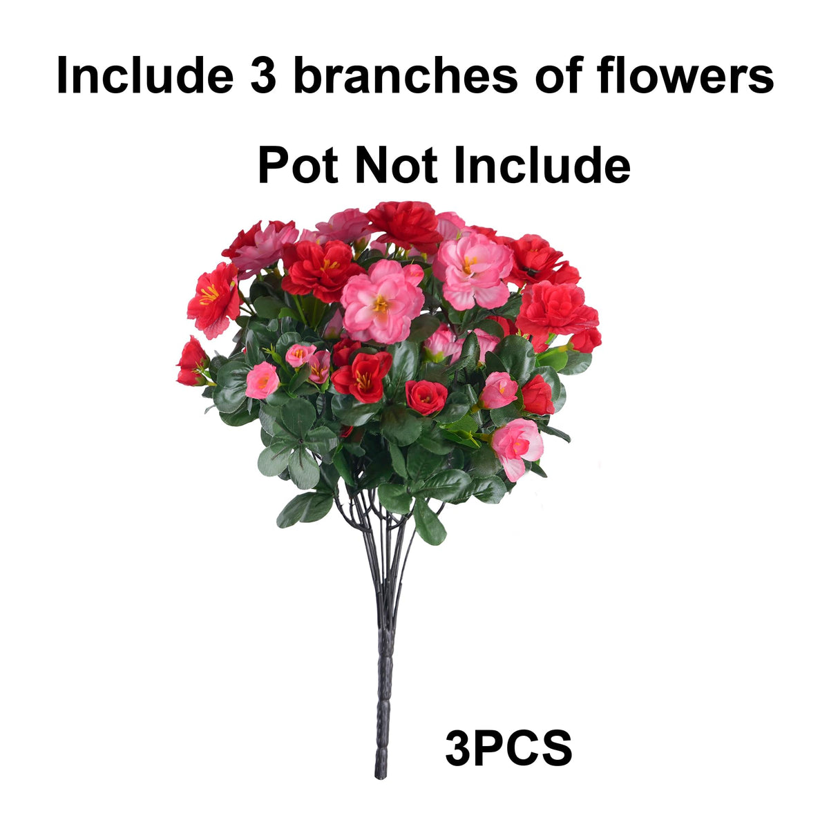 Ivydale camellia bundle melon red on patio showcases UV-resistant color.