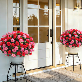 Ivydale camellia bundle melon red packaging and display options.