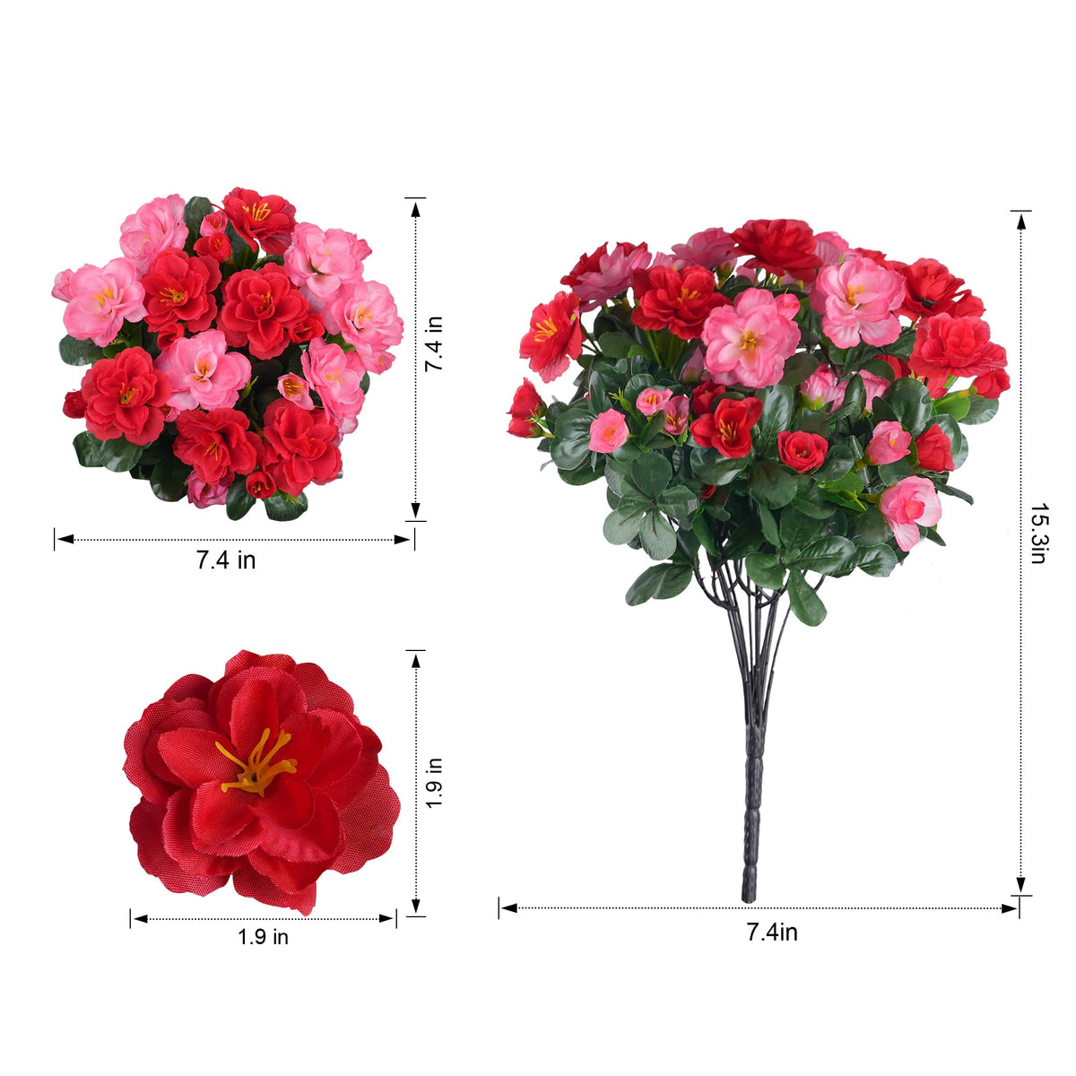 Ivydale camellia bundle melon red sunlit display for yard decoration.