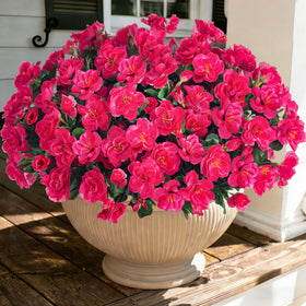 Ivydale artificial camellia flowers in a planter add year‑round color