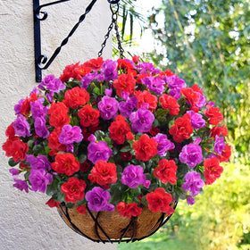 Ivydale outdoor camellia red full bundle enhances patios with realistic texture and year-round color