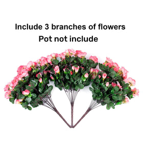 Ivydale pink camellia outdoor plant bundle displayed on a patio table, vibrant color and texture.