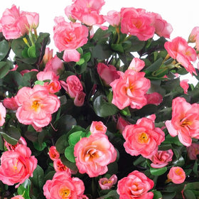Ivydale camellia artificial plant in a yard planter, blooms without watering or pruning.