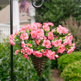 Ivydale camellia outdoor plant group in a balcony planter, easy setup and lasting beauty.