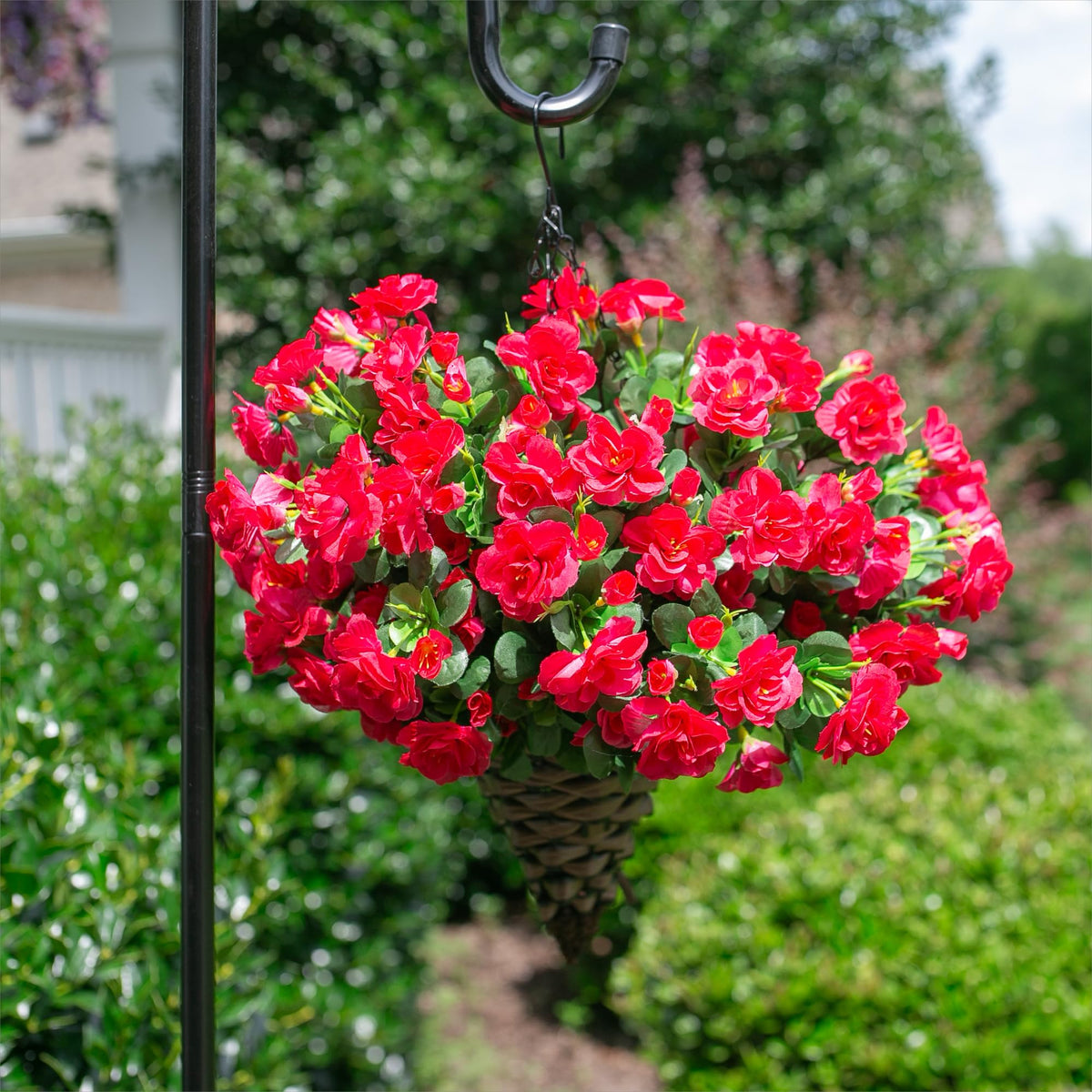 Ivydale camellias decorate a patio for seasonal curb appeal