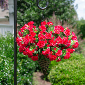 Ivydale camellias decorate a patio for seasonal curb appeal