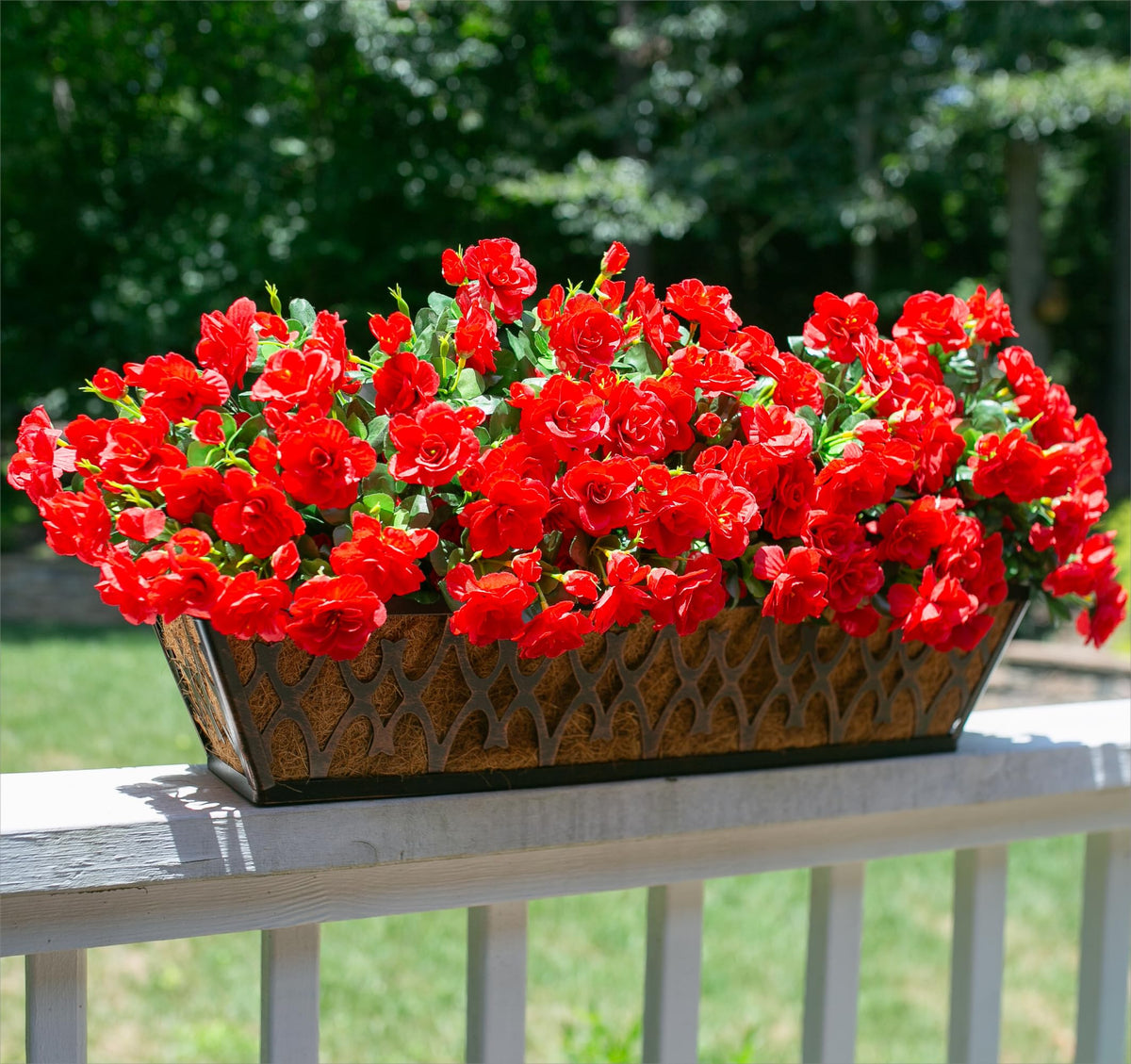 Ivydale UV-resistant faux camellia blooms stay vibrant in sunlit patios.