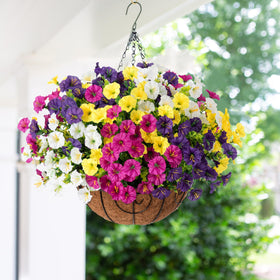Ivydale artificial hanging flowers with eucalyptus for lifelike outdoor greenery.