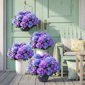 Ivydale outdoor hydrangea centerpiece ready for patio or table decor.