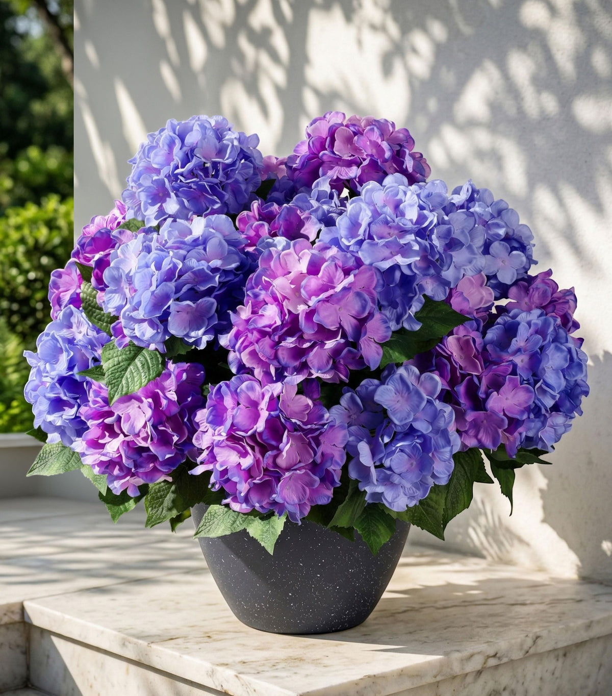Ivydale hydrangea stems standing 18 inches tall for tall arrangements outdoors.