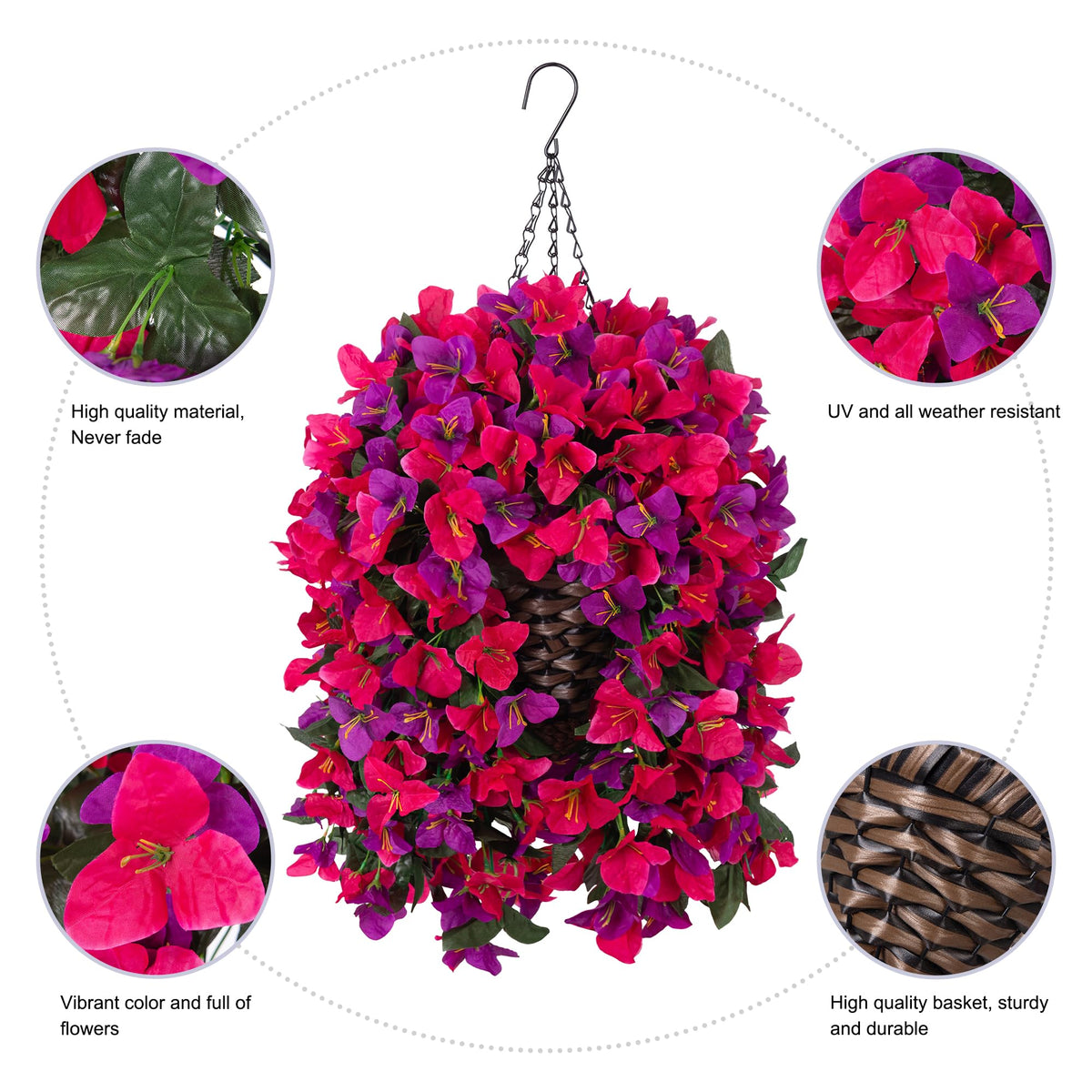 Ivydale Bougainvillea hanging vines show vibrant colors against green leaves.