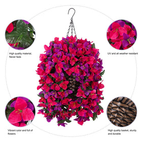 Ivydale Bougainvillea hanging vines show vibrant colors against green leaves.