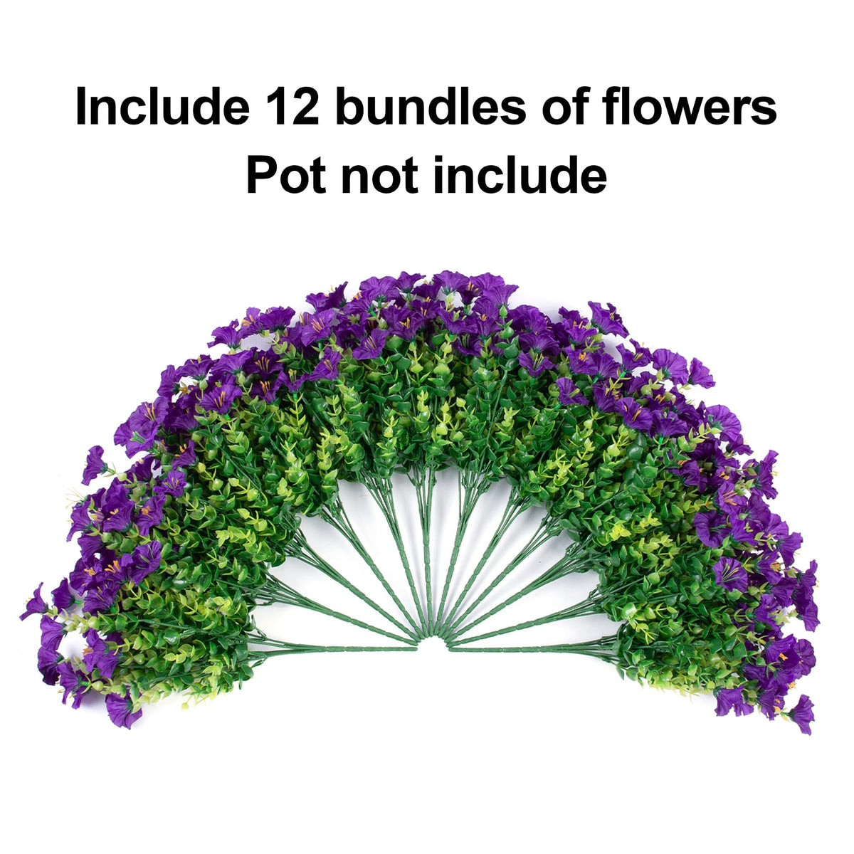 Ivydale bright purple morning glory adds vibrant curb appeal in sun.