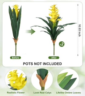 Ivydale bromeliads in porch decor resist fading for year-round curb appeal