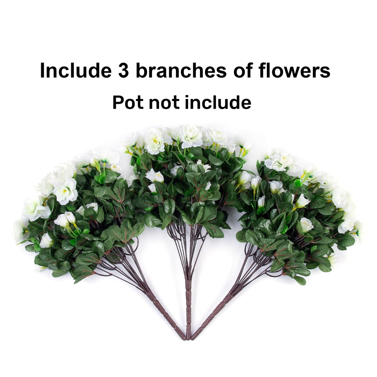 Ivydale camellia 3-bundle display offers instant elegance for any outdoor space.