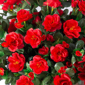 Ivydale silk camellias for outdoor use resist fading under bright sun.