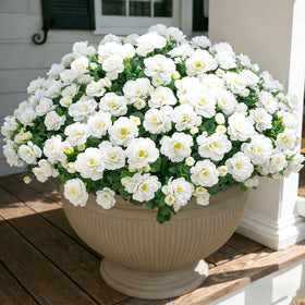 Ivydale camellia front-door faux plant adds curb appeal and year-round color.