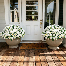 Ivydale camellia patio faux plant brightens outdoor spaces without watering.