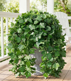 Ivydale artificial ivy leaves close-up showing lifelike texture.