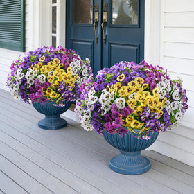 Ivydale colorful pansy varieties provide versatile styling options.