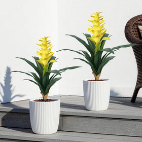 Ivydale outdoor flowers require minimal maintenance and quick cleaning
