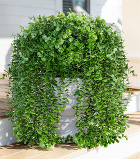 Ivydale eucalyptus hanging branch with lifelike leaves for outdoor decor