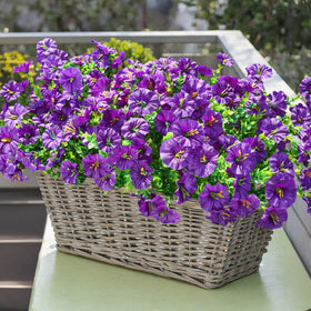 Ivydale eucalyptus leaves detail enhances realistic greenery for planters.