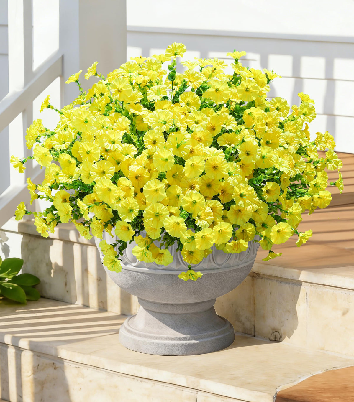 Ivydale winter-summer ready blooms maintain vivid hues in sunlight.