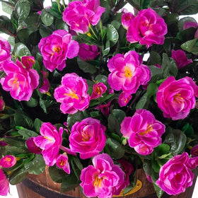 Ivydale faux flowers offer low maintenance for effortless decorating outdoors.