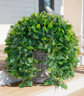 Ivydale faux pothos branch close-up for realistic outdoor greenery.