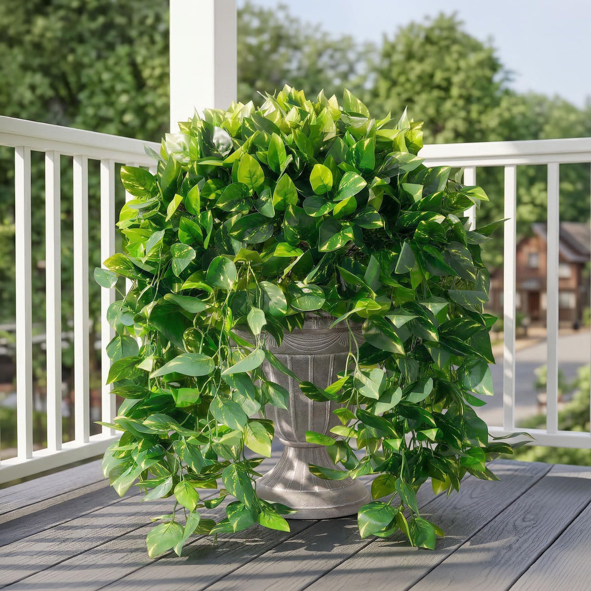 Ivydale faux pothos near a garden fence creates lush accents.