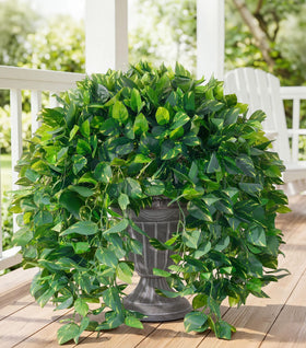 Ivydale faux pothos hanging on porch for year-round greenery.
