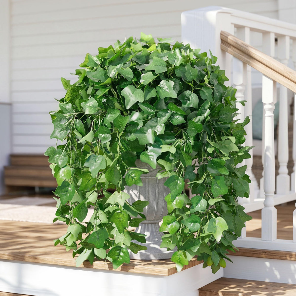 Ivydale ivy vines along fence for lush privacy vibe.