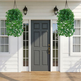 Ivydale greenery by front door enhances welcome with a natural look.