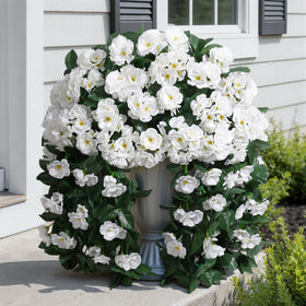 Ivydale geraniums drape over planters for porch or balcony decor.