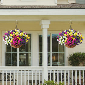 Ivydale hanging basket assembly and chain for easy outdoor installation.