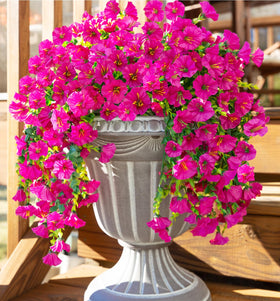 Ivydale hanging flowers packaging and setup ready