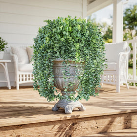 Ivydale hanging plants on porch display quick maintenance-free greenery.