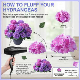 Ivydale hydrangea bouquet-formation purple fuchsia for versatile arrangements.